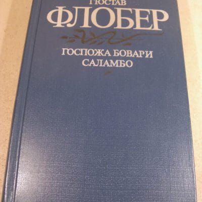 Флобер мадам бовари презентация