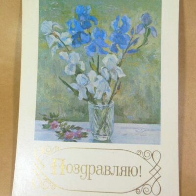 СРСР 1980. Поздравляю! Художник Н. Скорубская /р507