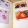 В.Н. Архангельский. Глазные болезни — изображение 5