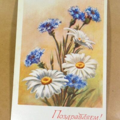 СРСР 1976. Поздравляем! Художник В. Попов /р510