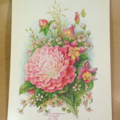 СРСР 1987. Поздравляю! Художник Л. Бодрихина /р510
