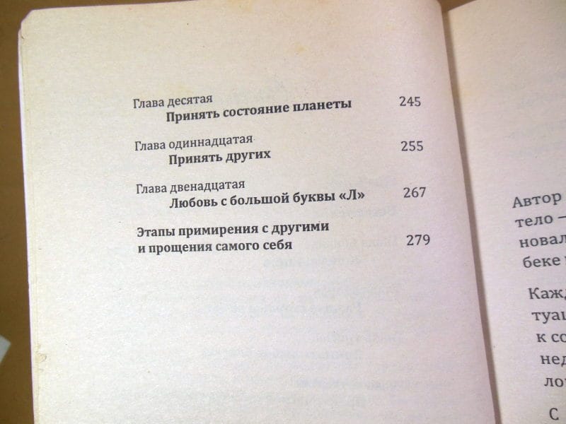 Лиз Бурбо. Любовь, любовь, любовь… — изображение 5