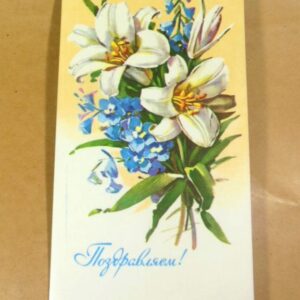 СРСР 1981. Поздравляем! Художник Г. Куртенко /р513