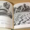 Людмила Уразова. Польские художники-реалисты — изображение 5