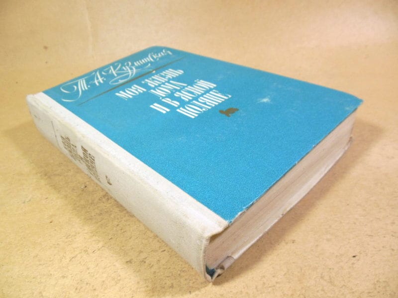 Т.А. Кузминская. Моя жизнь дома и в Ясной Поляне — изображение 5