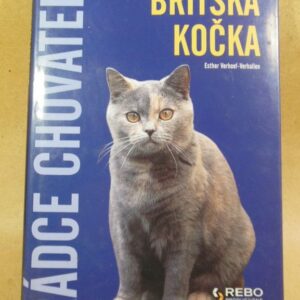BRITSKÁ KOČKA (Британська кішка)