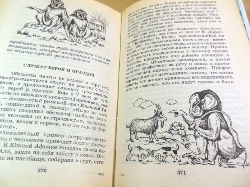 Я познаю мир. Животные в доме — изображение 5