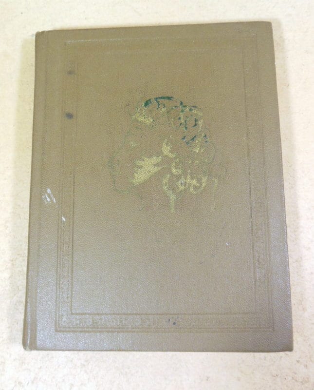 Жизнь и лира