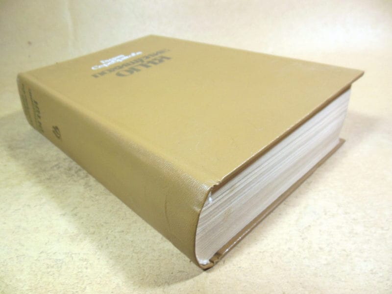 Галина Серебрякова. Похищение огня — изображение 4