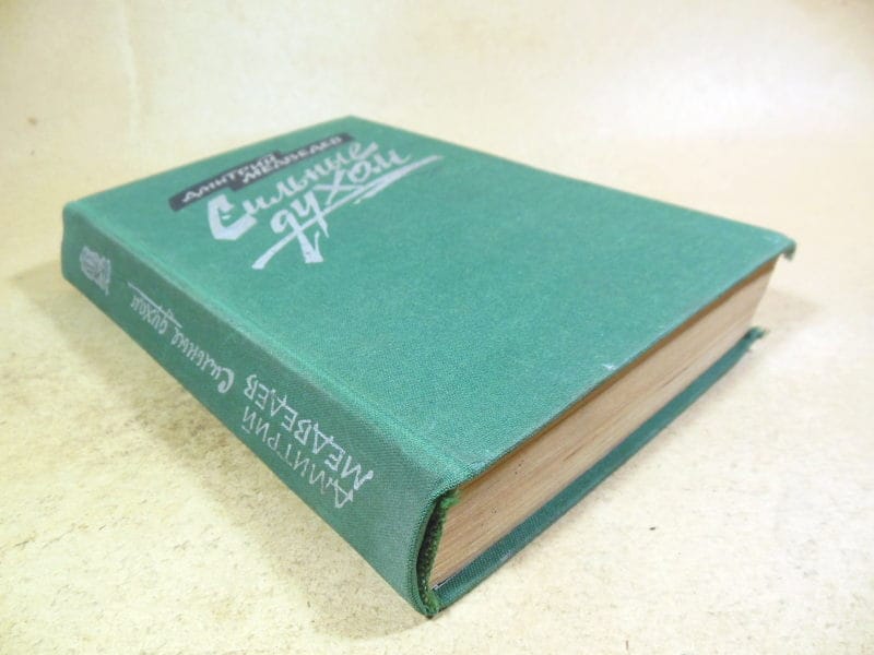 Дмитрий Медведев. Сильные духом — изображение 4