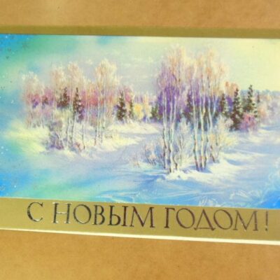СРСР 1989. С Новым годом! Художник В. Горелов /р213