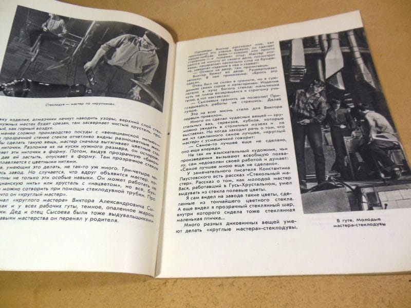 Виктор Полторацкий. Гнездо хрустального гуся — изображение 6