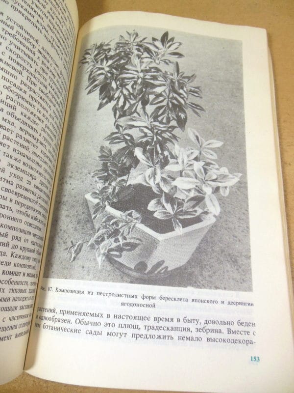 Н.Н. Капранова. Комнатные растения в интерьере — изображение 4