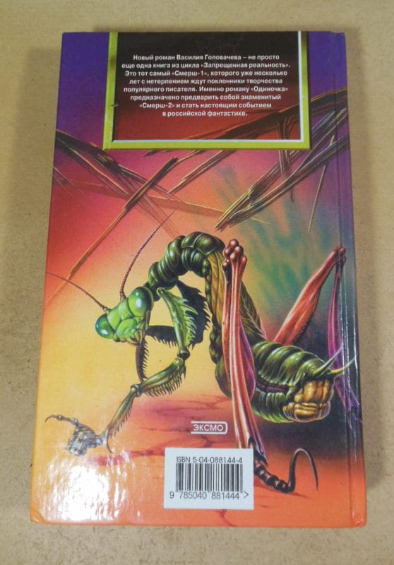 Василий Головачев. Одиночка (Абсолютное оружие) — изображение 4