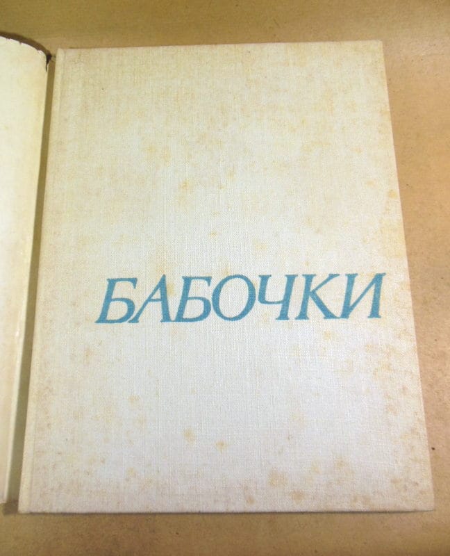 Владислав Стройны. Бабочки. Фотоальбом — изображение 5