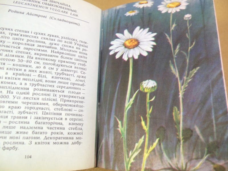 Л. С. Панова, В. В. Протопопова. Степові рослини — изображение 4