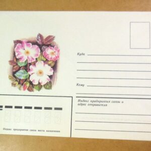 Конверт СРСР 1983. Парковые розы. Шпаррисхоп /k204