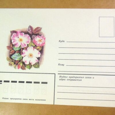 Конверт СРСР 1983. Парковые розы. Шпаррисхоп /k204