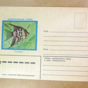 Конверт СРСР 1982. Аквариумные рыбы. Скалярия /k206