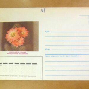 Конверт СРСР 1987. Кактус. Медиолобивия карликовая /k206