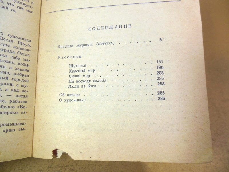 Юрий Тупицын, Красные журавли БСФ — изображение 4