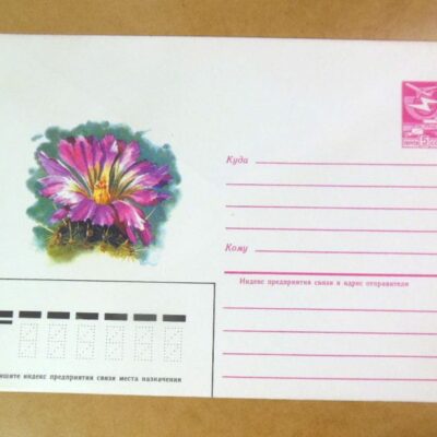 ХМК СРСР 1985. Телокактус двухцветный /k208