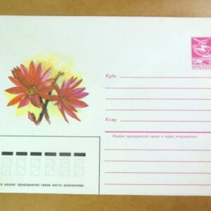 ХМК СРСР 1985. Эпифиллум аккермана /k209