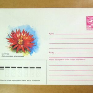 ХМК СРСР 1985. Кактусы. Маммиллярия шелковистая /k209