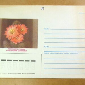 Конверт СРСР 1987. Кактус. Медиолобивия карликовая /k211