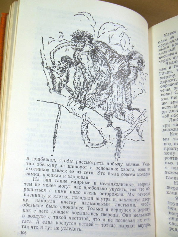 Джеральд Даррелл. Поймайте мне колобуса. Золотые крыланы и розовые голуби — изображение 5