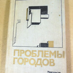 Б. С. Хорев, Проблемы городов