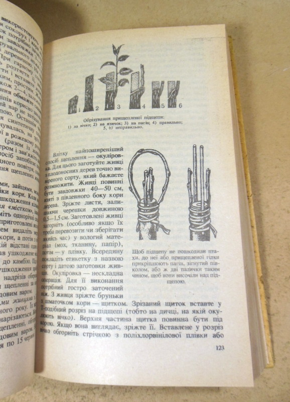 У саду і на городі — изображение 5
