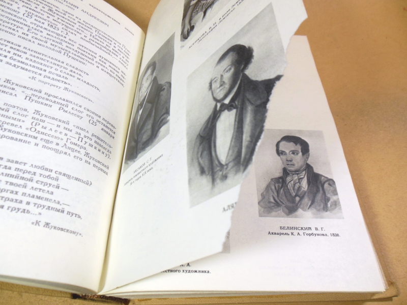 Тропа к Пушкину ШБ — изображение 7