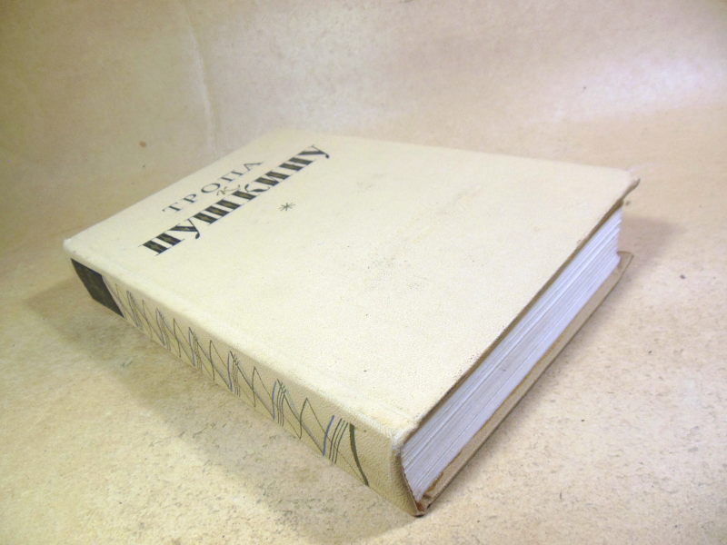 Тропа к Пушкину ШБ — изображение 8