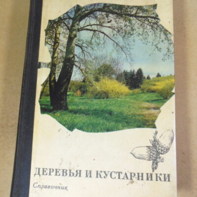 Деревья и кустарники. Покрытосеменные. Справочник