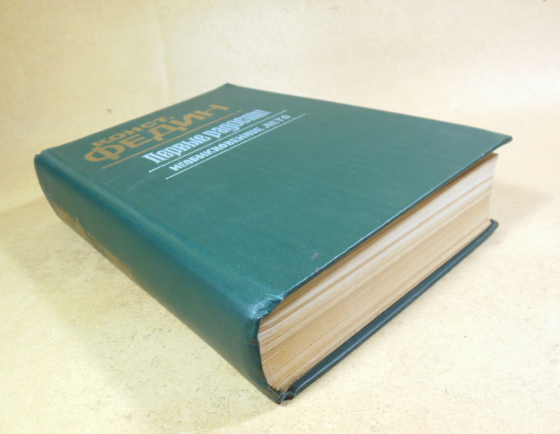 Константин Федин. Первые радости. Необыкновенное лето — изображение 5