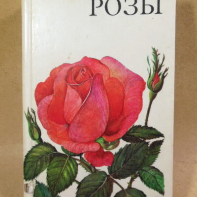 Людвик Вечержа. Розы