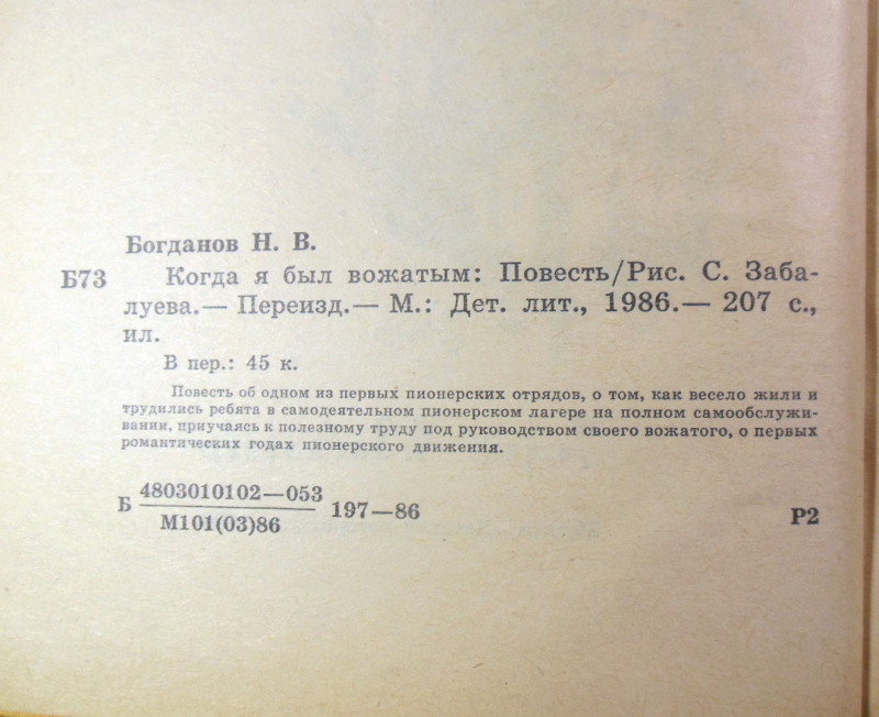 Николай Богданов, Когда я был вожатым — изображение 3