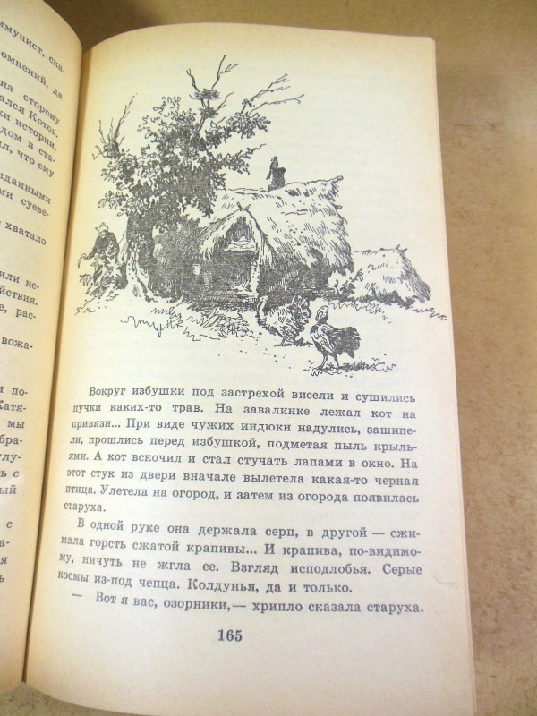 Николай Богданов, Когда я был вожатым — изображение 4