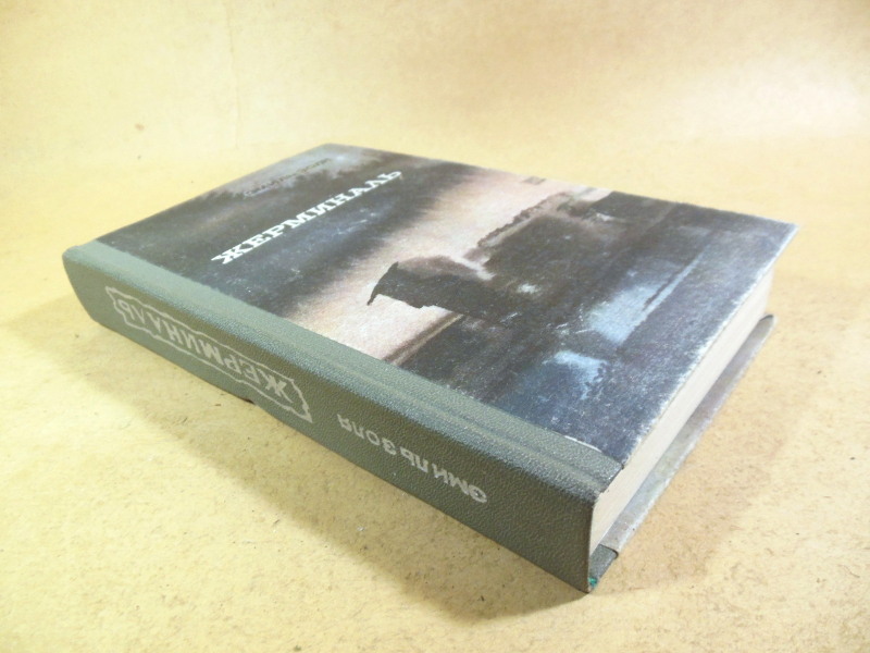 Эмиль Золя, Жерминаль — изображение 4
