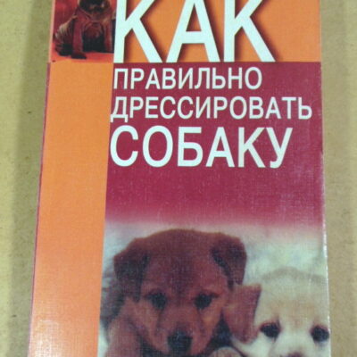 Н. В. Беляев, Как правильно дрессировать собаку
