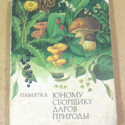 Н. Грищенко, Памятка юному сборщику даров природы