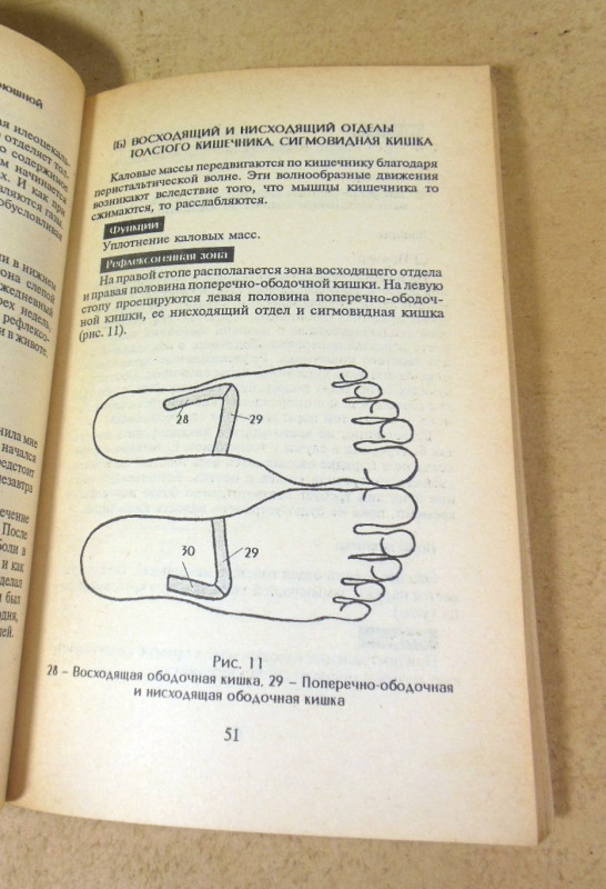 Здоровье — своими руками. Массаж рефлексогенных зон стоп — изображение 4