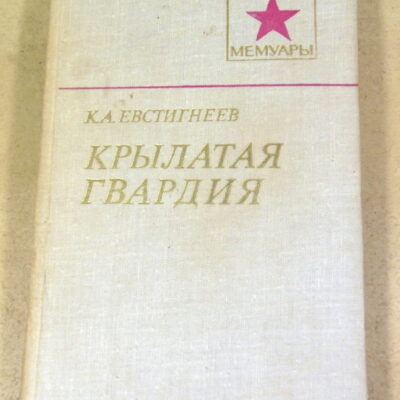 К. А. Евстигнеев, Крылатая гвардия ВМ
