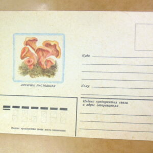 ХК СРСР 1982. Лисичка настоящая Ref: k235