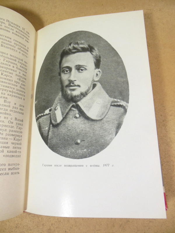 Вл. Порудоминский, Гаршин ЖЗЛ — изображение 5