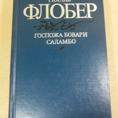 Гюстав Флобер, Госпожа Бовари. Саламбо