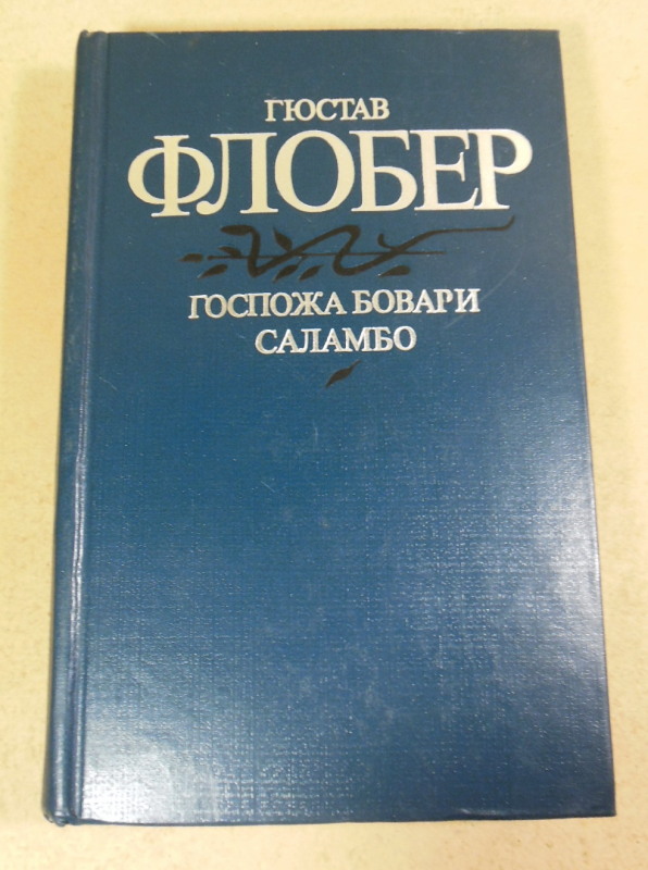Гюстав Флобер, Госпожа Бовари. Саламбо