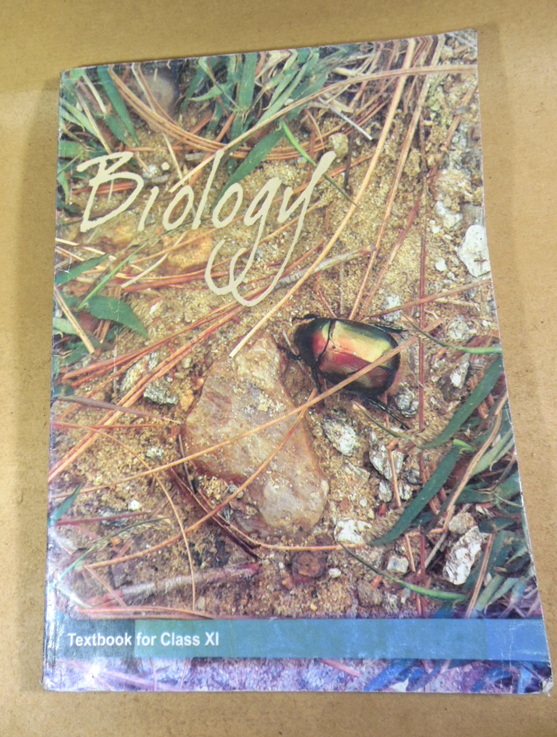 Biology: Textbook for Class XI (NCERT)