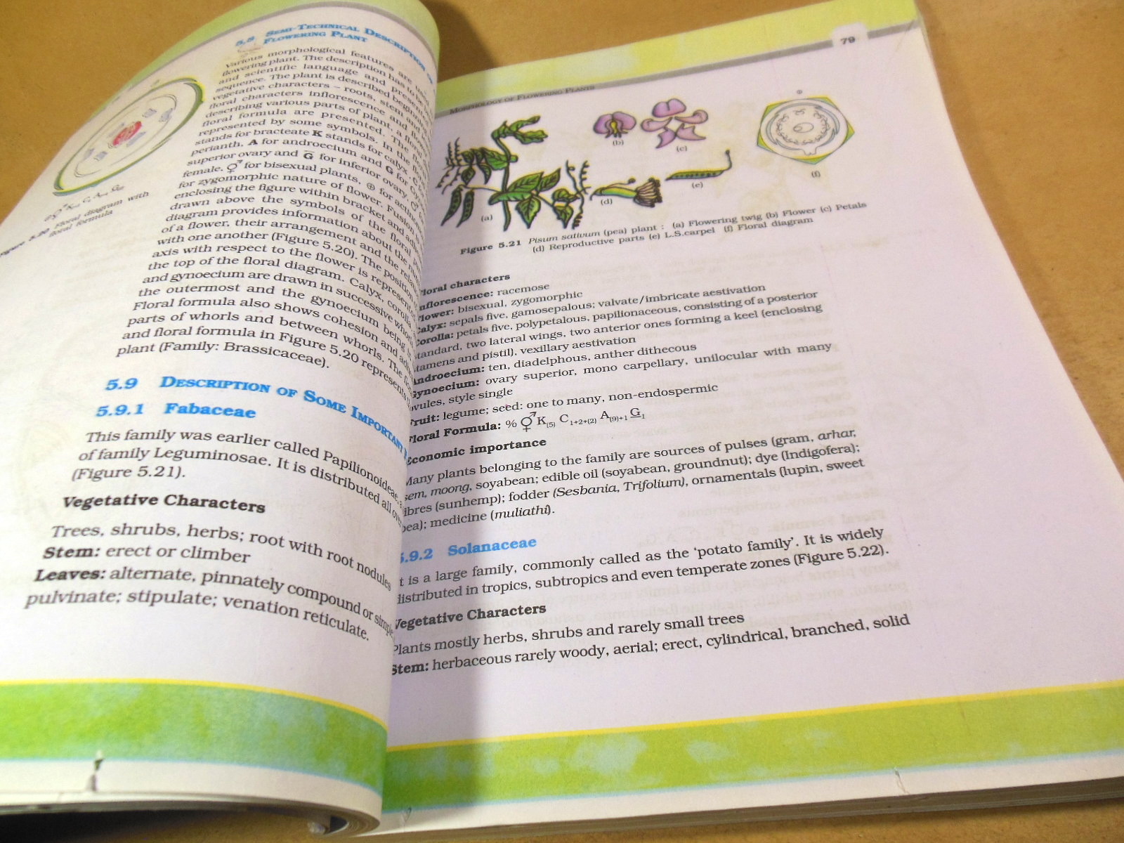 Biology: Textbook for Class XI (NCERT) — изображение 4